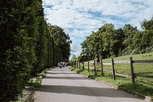 Asphaltierter Weg. Links hohe Bäume, rechts Pferdekoppel. Weit entfernt kommt Hochzeitsgesellschaft auf Fahrrädern. Parallel dazu laufen mehrere Pferde auf der Koppel.